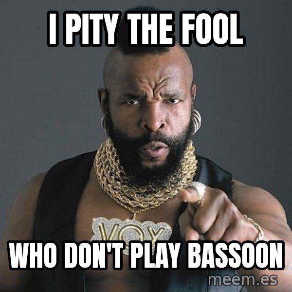 Mr T meme: I pity the fool / who don't play bassoon