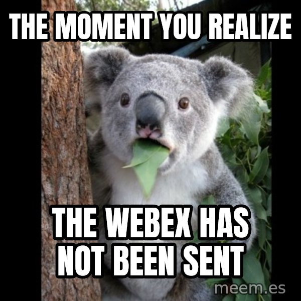 Koala can't believe it meme: The moment you realize / the webex has not been sent