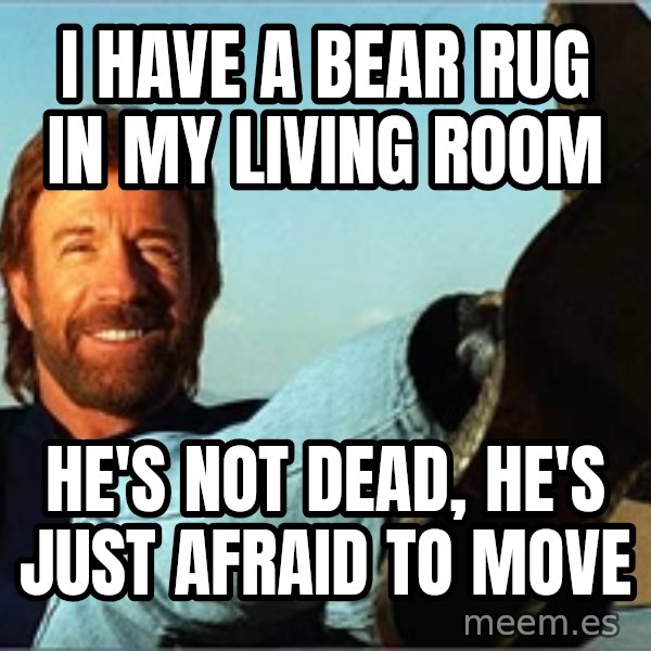 Chuck Norris  meme: I have a bear rug in my living room / he's not dead, he's just afraid to move