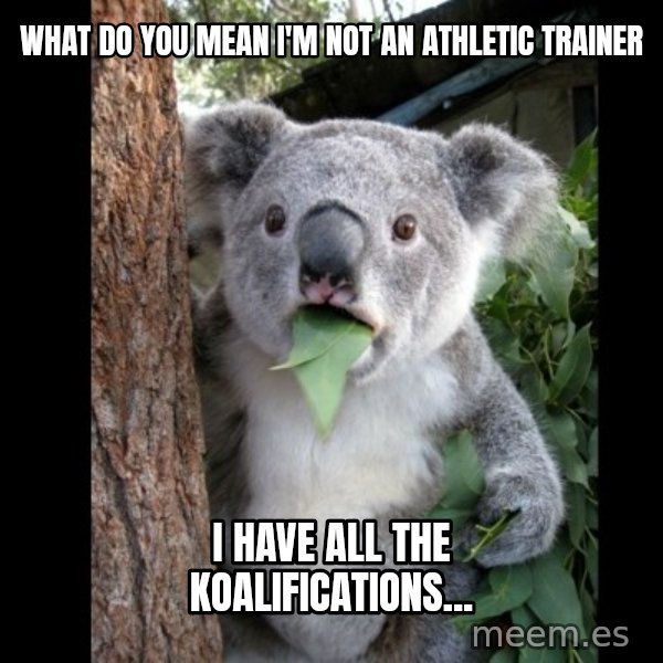 Koala can't believe it meme: What do you mean I'm not an Athletic Trainer / I have all the koalifications...