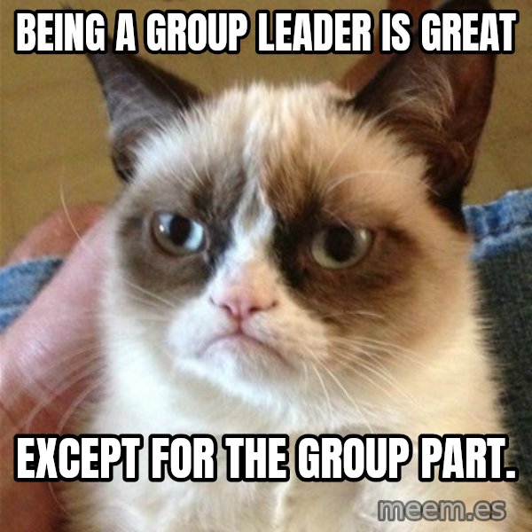 Grumpy Cat  meme: Being a group leader is great / Except for the group part.