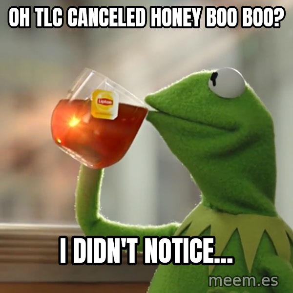 Kermit The Frog Drinking Tea meme: Oh TLC canceled Honey Boo Boo? / I didn't notice...