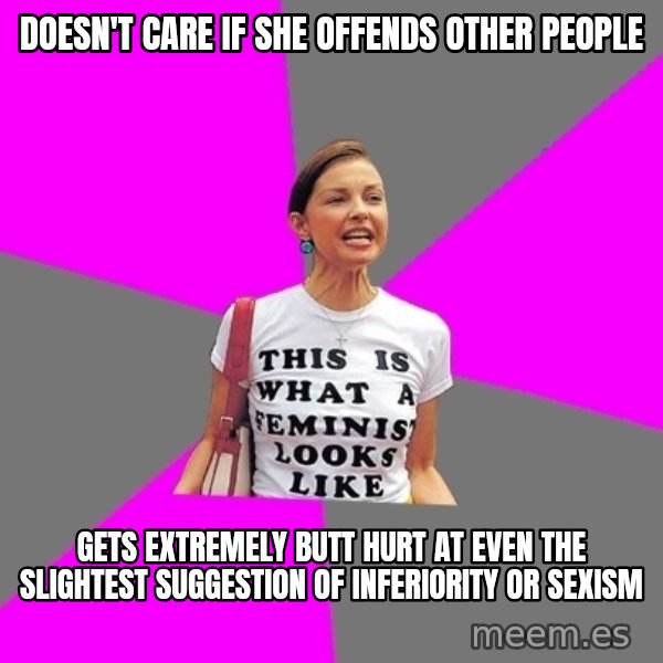 Feminist Cunt meme: Doesn't care if she offends other people / Gets extremely butt hurt at even the slightest suggestion of inferiority or sexism