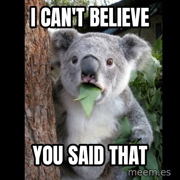 Koala can't believe it meme: I can't believe / You said that