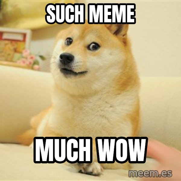 so doge meme: such meme / much wow