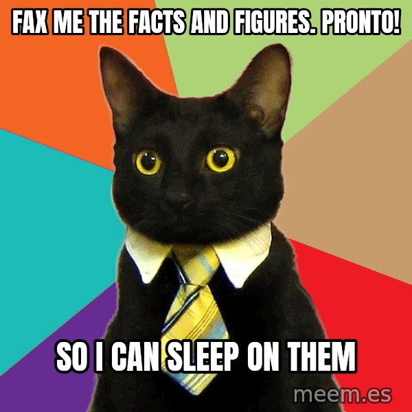 Business Cat meme: fax me the facts and figures.  pronto! / so I can sleep on them