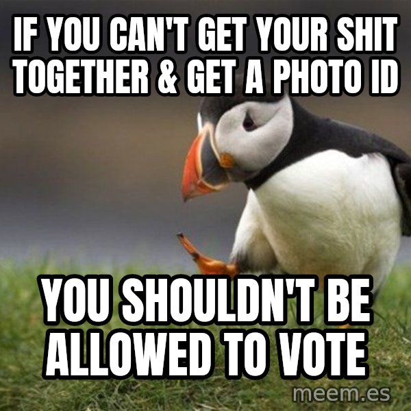 Unpopular Opinion Puffin meme: If you can't get your shit together & get a photo ID / You shouldn't be allowed to vote