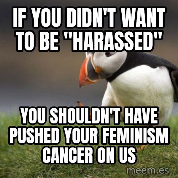 Unpopular Opinion Puffin meme: If you didn't want to be "harassed" / You shouldn't have pushed your feminism cancer on us