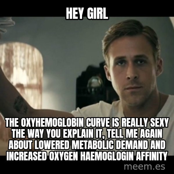 ryan gosling hey girl meme: Hey girl / The oxyhemoglobin curve is really sexy the way you explain it, tell me again about lowered metabolic demand and increased Oxygen Haemoglogin affinity