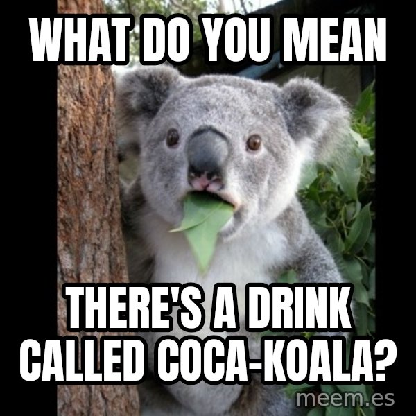 Koala can't believe it meme: what do you mean / there's a drink called coca-koala?