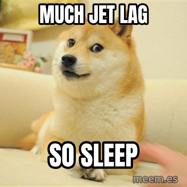 so doge meme: much jet lag / so sleep