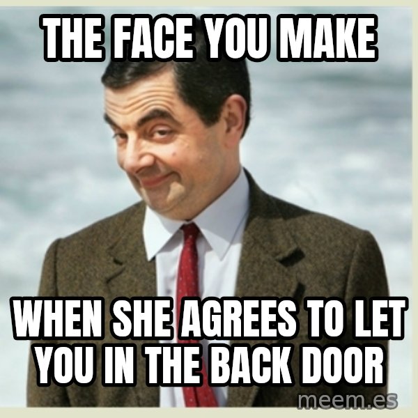 MR bean meme: the face you make / when she agrees to let you in the back door
