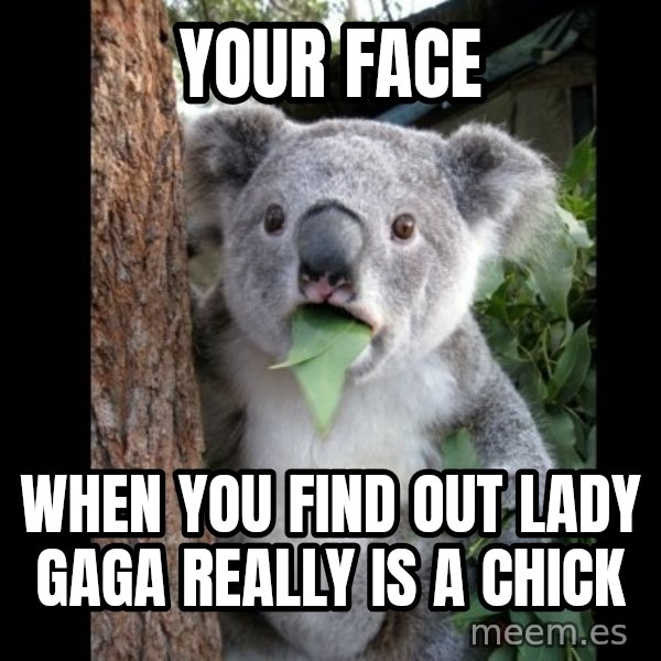Koala can't believe it meme: Your face / When you find out Lady Gaga really is a chick