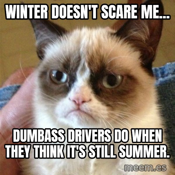 Grumpy Cat  meme: Winter doesn't scare me... / dumbass drivers do when they think it's still summer.