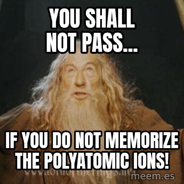 You shall not pass meme: YOU SHALL NOT PASS... / IF YOU DO NOT MEMORIZE THE POLYATOMIC IONS!