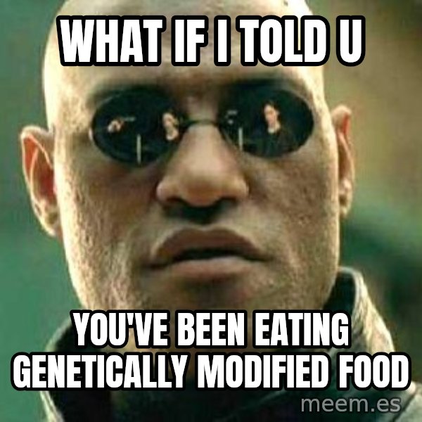 What if I told you / Matrix Morpheus meme: what if i told u / you've been eating genetically modified food