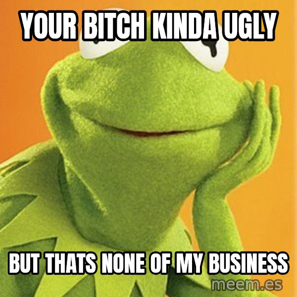 Kermit the frog meme: your bitch kinda ugly / but thats none of my business