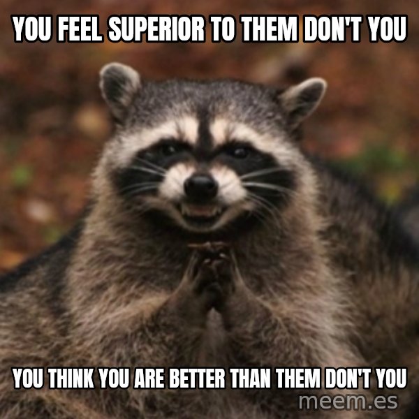 evil raccoon meme: you feel superior to them don't you / you think you are better than them don't you