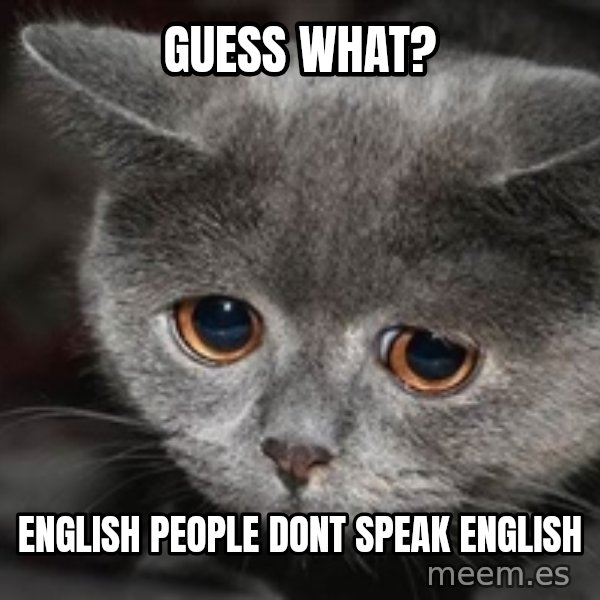 Sadcat meme: Guess what? / English people dont speak english