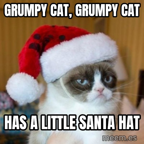 Grumpy Cat Santa Hat meme: grumpy cat, grumpy cat / has a little santa hat