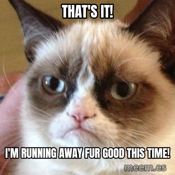 Angry Cat Meme meme: That's it! / I'm running away fur good this time!