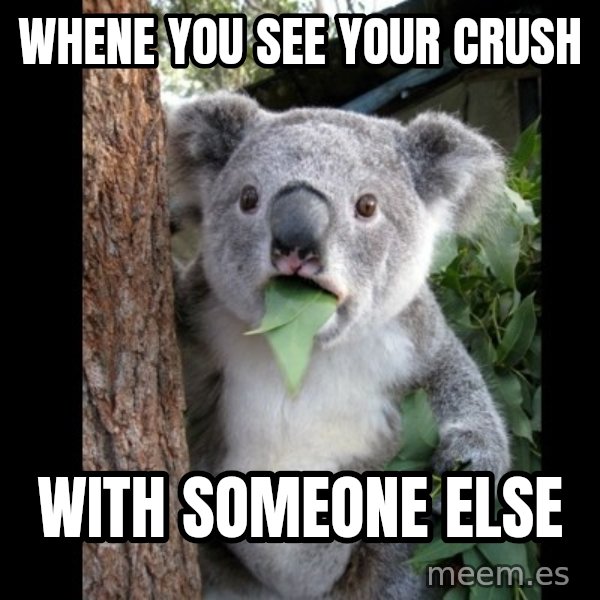 Koala can't believe it meme: whene you see your crush / with someone else