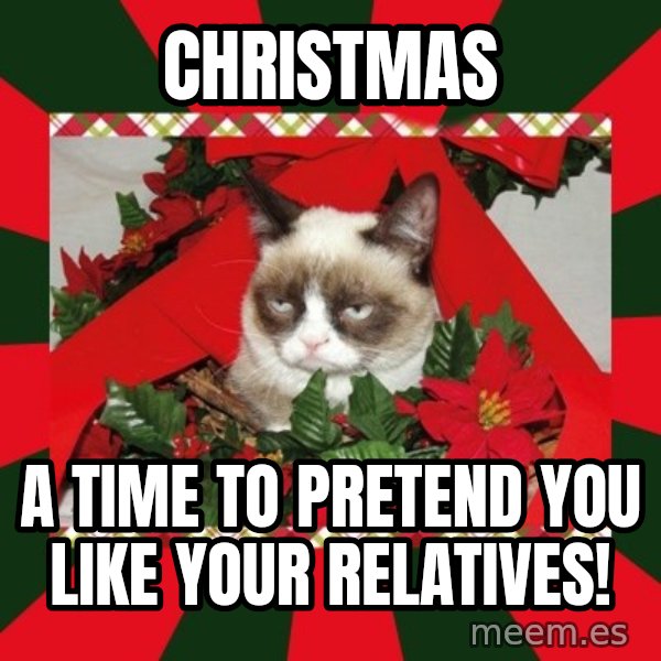 GRUMPY CAT ON CHRISTMAS meme: christmas / a time to pretend you like your relatives!