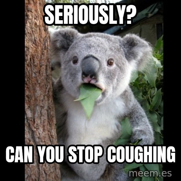 Koala can't believe it meme: Seriously? / Can you stop coughing