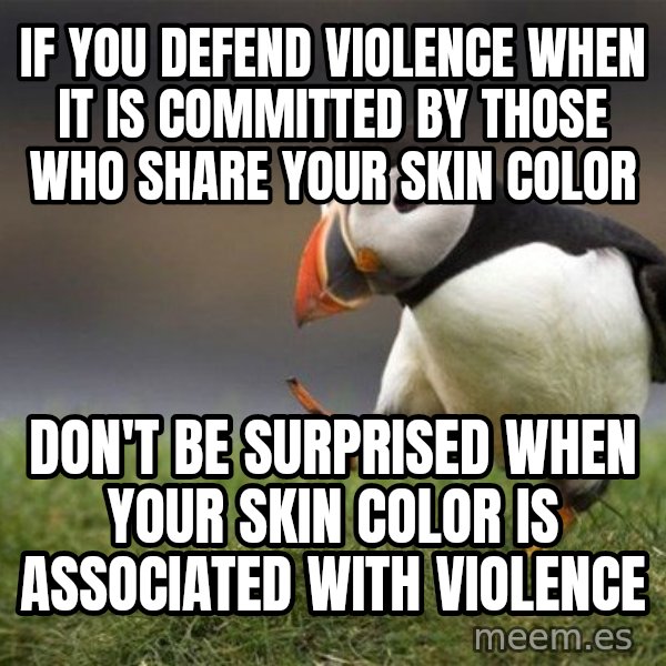 Unpopular Opinion Puffin meme: if you defend violence when it is committed by those who share your skin color / don't be surprised when your skin color is associated with violence