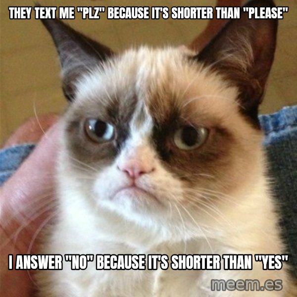 Grumpy Cat  meme: They text me ''plz'' because it's shorter than ''Please'' / I answer ''no'' because it's shorter than ''yes''