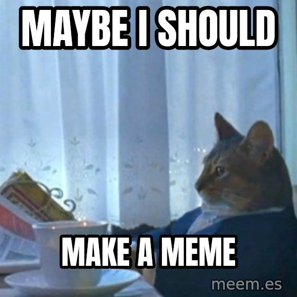 newspaper cat realization meme: maybe i should / make a meme