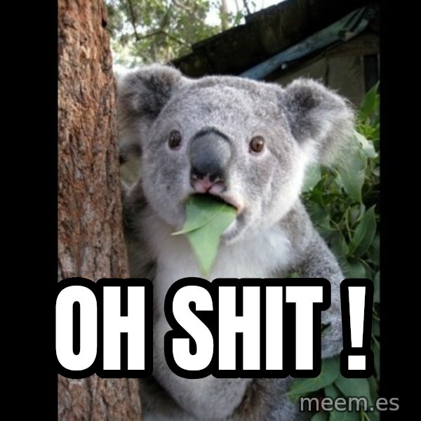 Koala can't believe it meme: Oh shit !