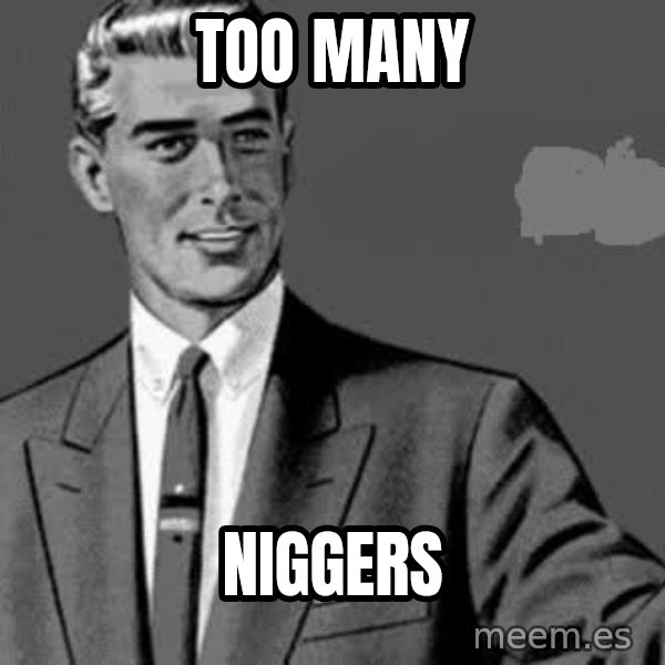 Correction Man  meme: Too many / Niggers