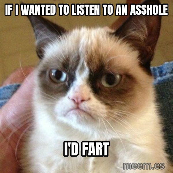 Grumpy Cat  meme: If I wanted to listen to an asshole / I'd fart
