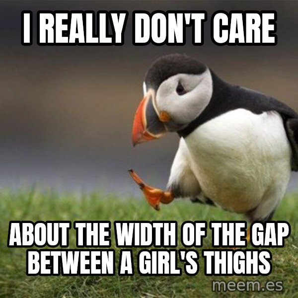 Unpopular Opinion Puffin meme: I really don't care / about the width of the gap between a girl's thighs