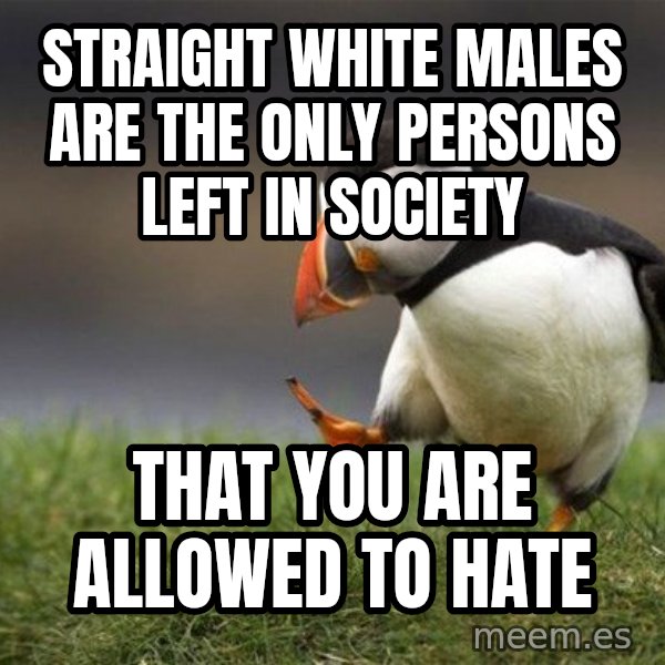 Unpopular Opinion Puffin meme: straight white males are the only persons left in society / that you are allowed to hate