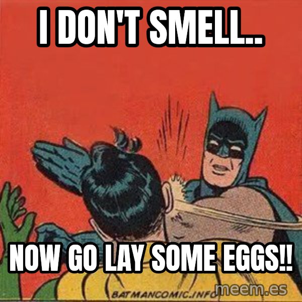 batman slap robin meme: i don't smell.. / now go lay some eggs!!