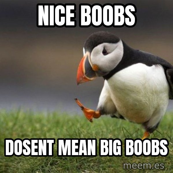 Unpopular Opinion Puffin meme: NICE BOOBS / DOSENT MEAN BIG BOOBS