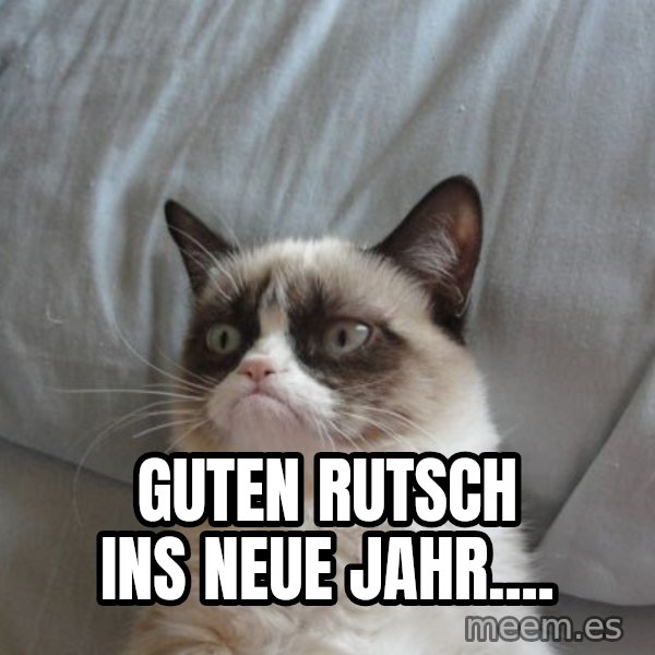 Grumpy cat good meme: Guten Rutsch ins neue Jahr....
