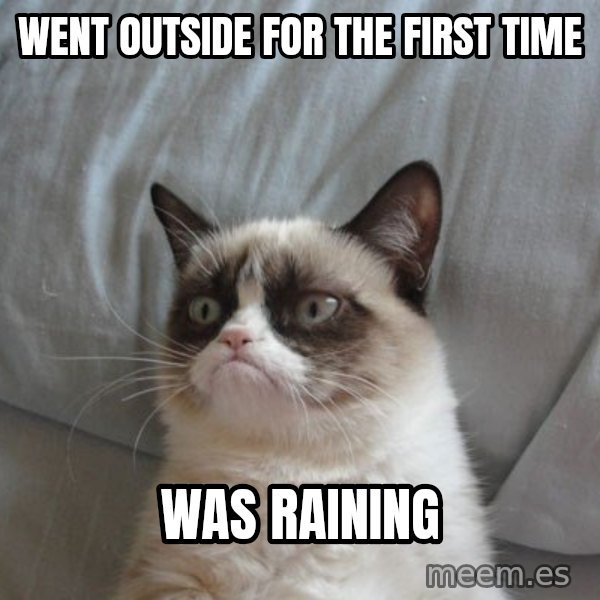 Grumpy cat good meme: Went outside for the first time / WAS RAINING