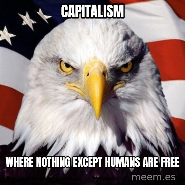 American Pride Eagle meme: Capitalism / Where nothing except humans are free