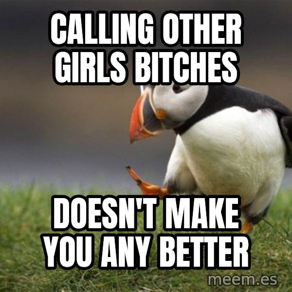 Unpopular Opinion Puffin meme: calling other girls bitches / doesn't make you any better