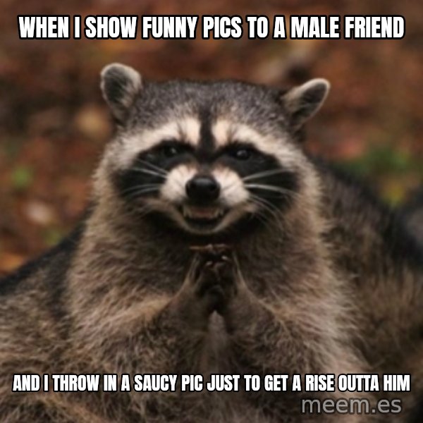 evil raccoon meme: When I show funny pics to a male friend / and I throw in a saucy pic just to get a rise outta him