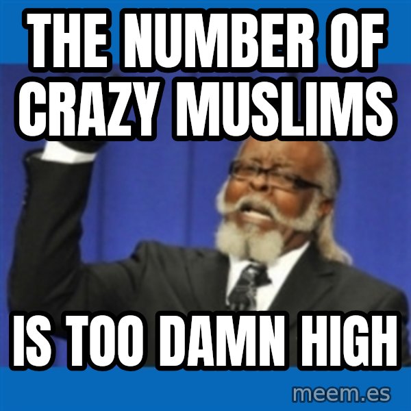 Rent Is Too Damn High meme: the number of crazy muslims / is too damn high
