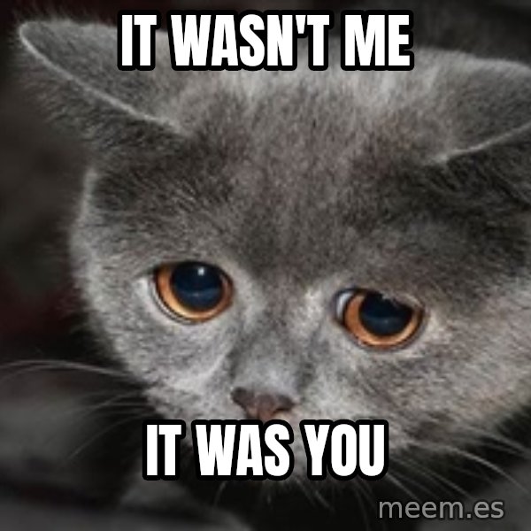 Sadcat meme: It wasn't me / It was you