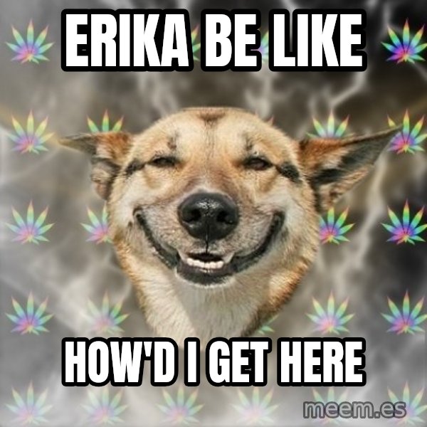 Stoner Dog meme: erika be like / how'd i get here