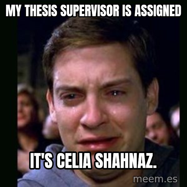 crying peter parker meme: My thesis supervisor is assigned / It's Celia Shahnaz.