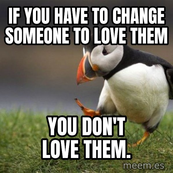 Unpopular Opinion Puffin meme: If you have to change someone to love them / You don't love them.