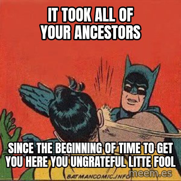 batman slap robin meme: it took all of your ancestors / since the beginning of time to get you here you ungrateful litte fool