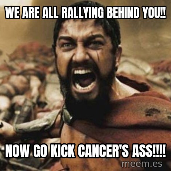 300 meme: WE ARE ALL RALLYING BEHIND YOU!! / NOW GO KICK CANCER'S ASS!!!!